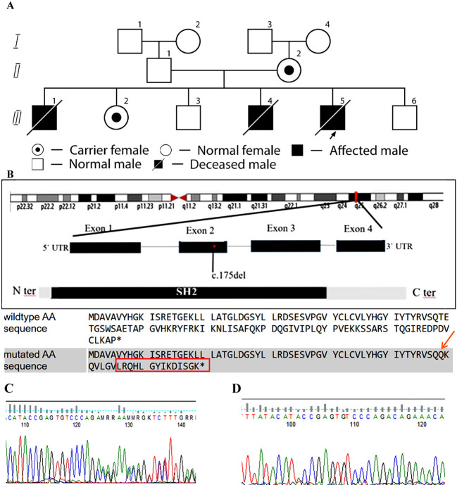 Figure 1