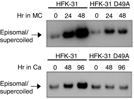 Fig. 6.