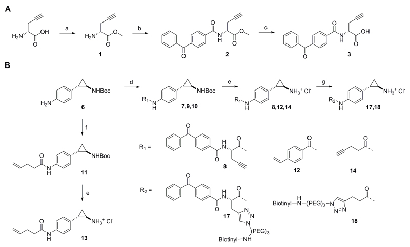 Scheme 1