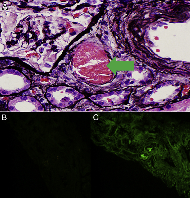 Figure 2