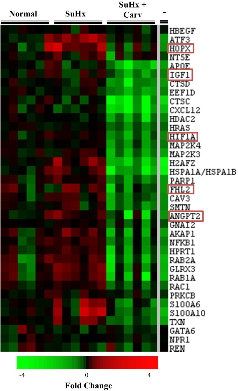 Fig. 3.