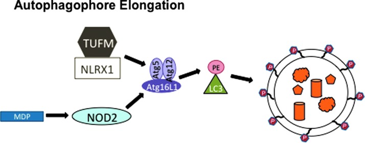 FIG. 6.