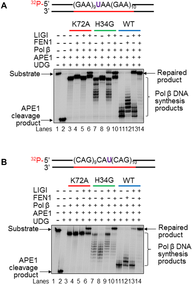 Figure 4.