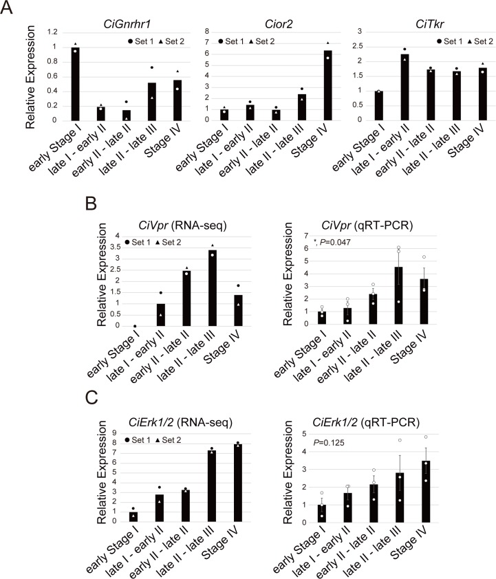 Figure 2—figure supplement 2.