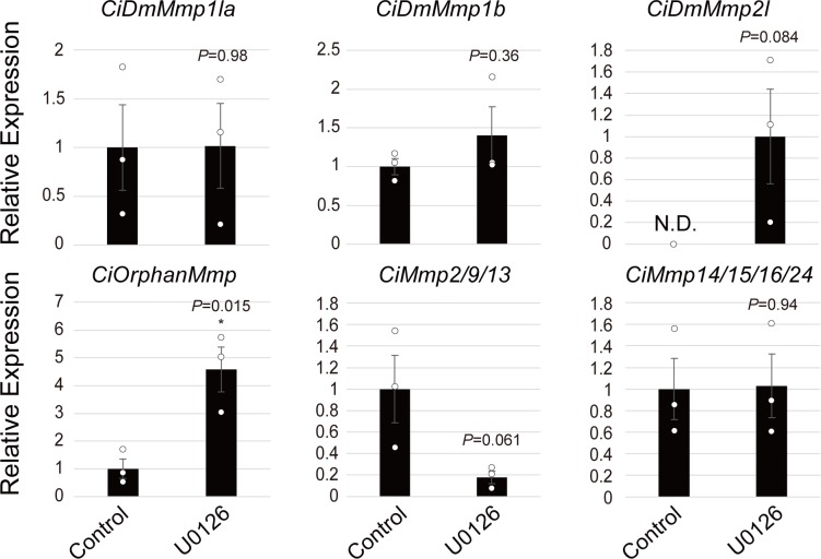 Figure 5—figure supplement 1.