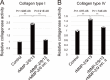 Figure 5—figure supplement 3.