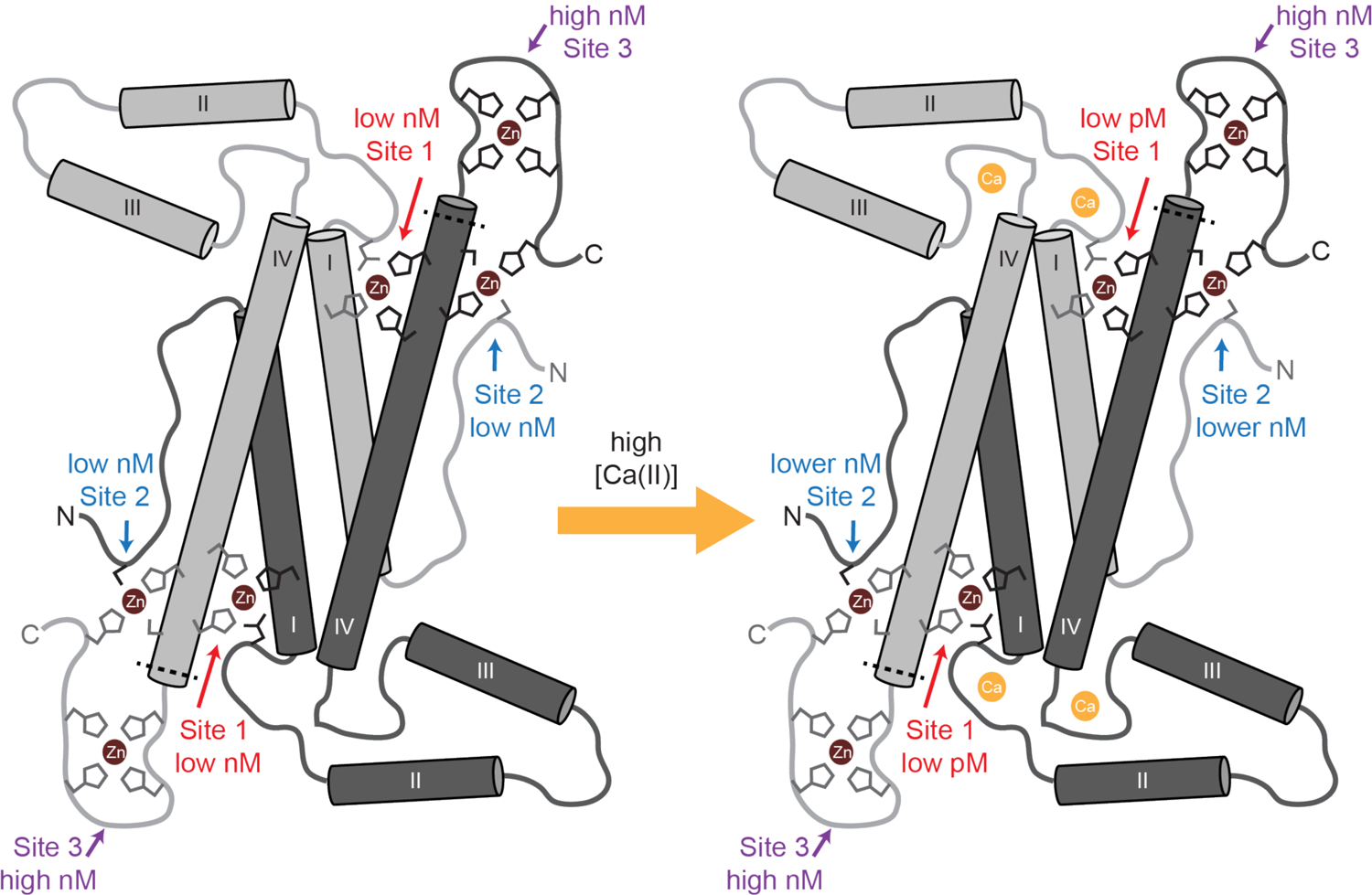 Figure 9.