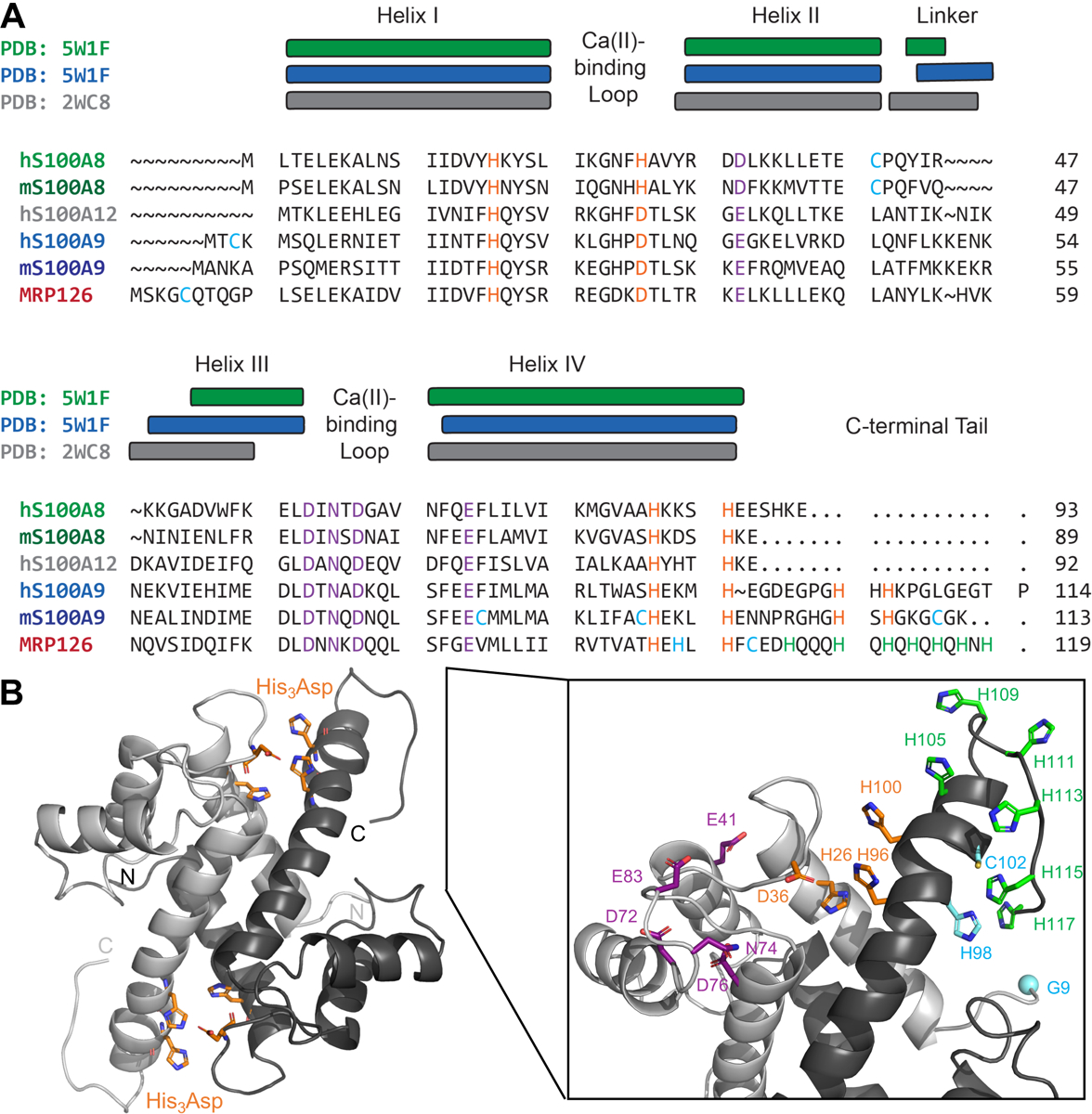 Figure 1: