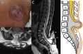 Fig. 9