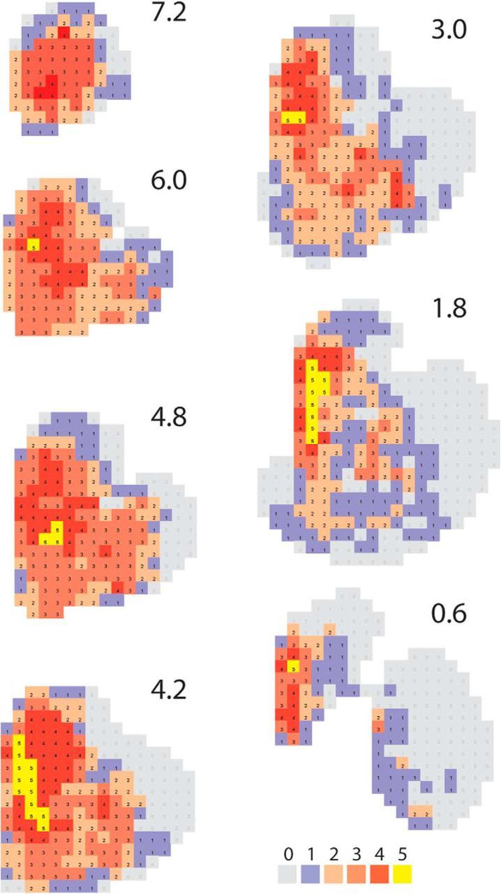 Figure 7.