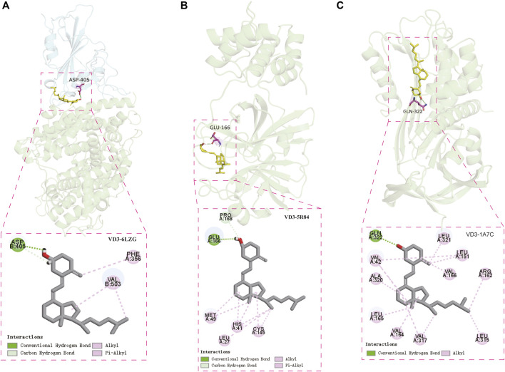 FIGURE 6