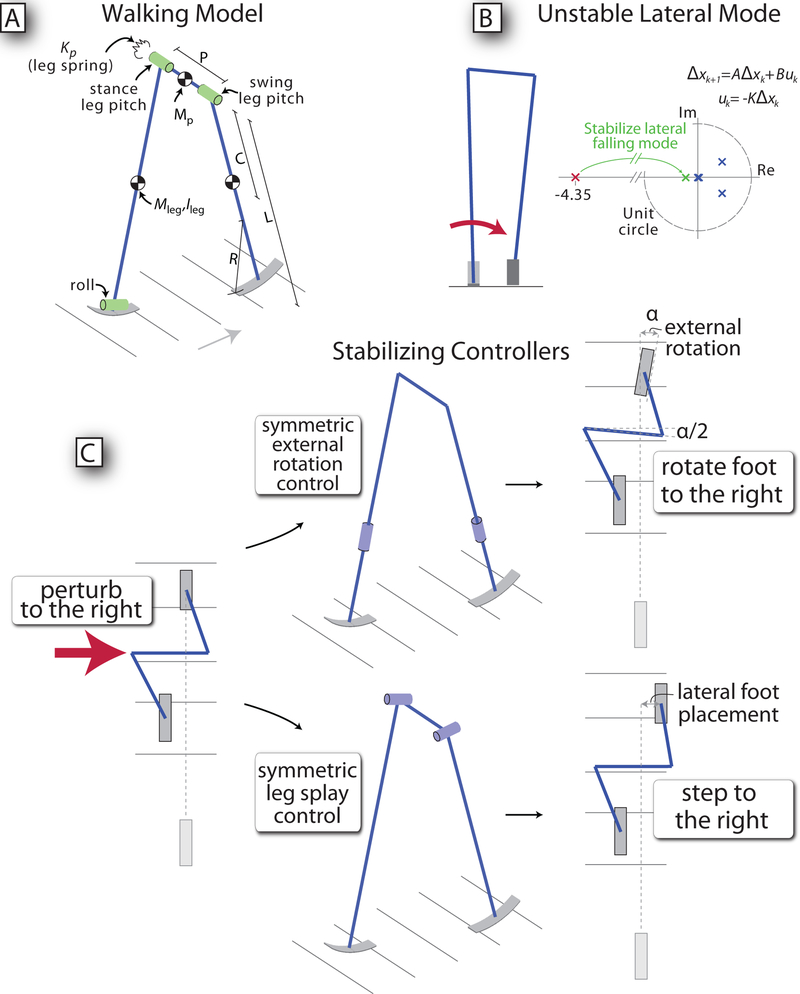 Figure 2: