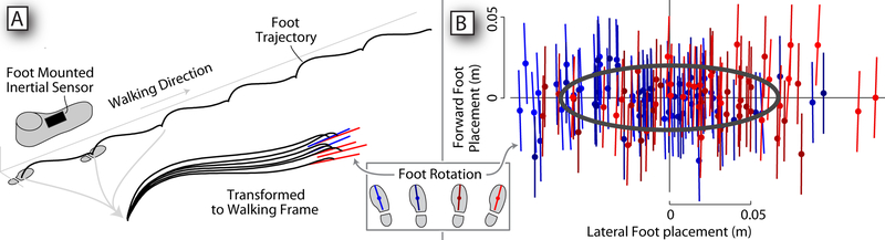 Figure 3: