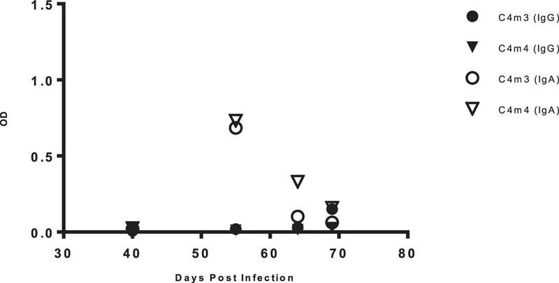 Figure 2: