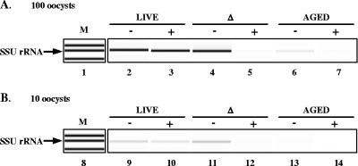 FIG. 6.