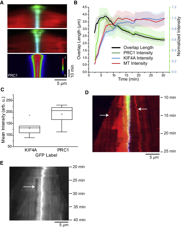 Figure 3