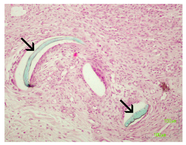 Figure 7