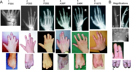 Figure  2. 