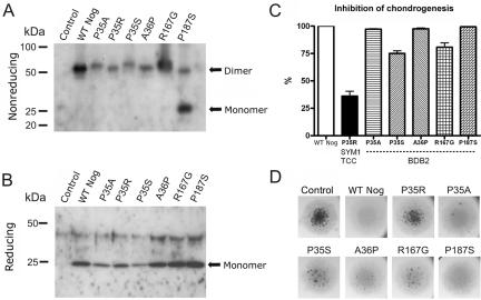 Figure  4. 