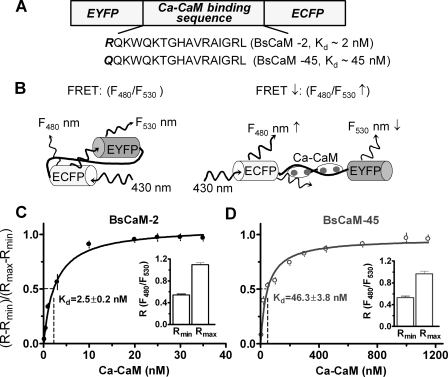 FIGURE 1.