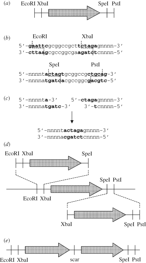 Figure 1.