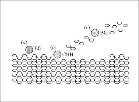 Figure 2.