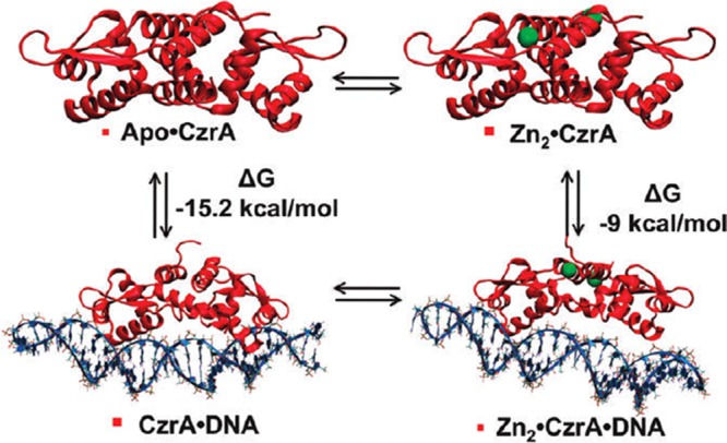 Figure 40