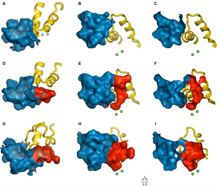 Figure 38