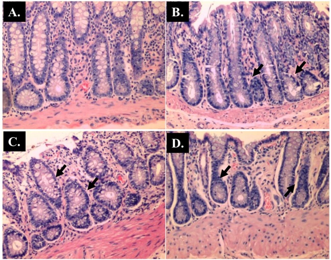 Fig 11