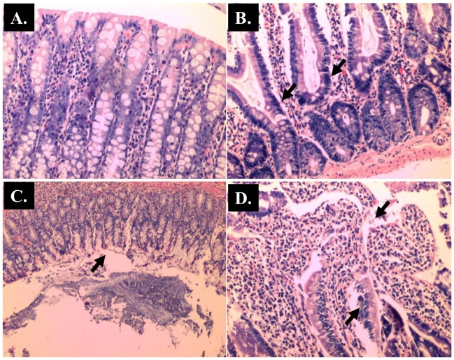 Fig 9