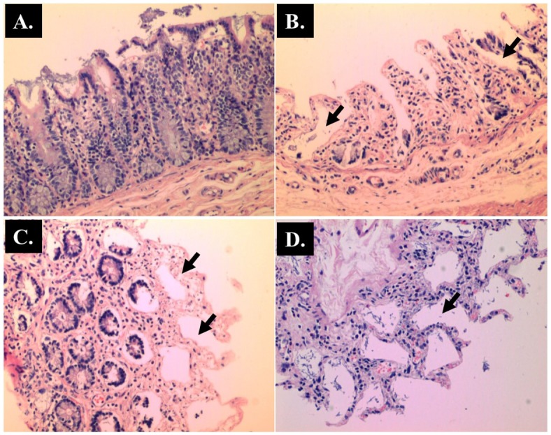 Fig 6