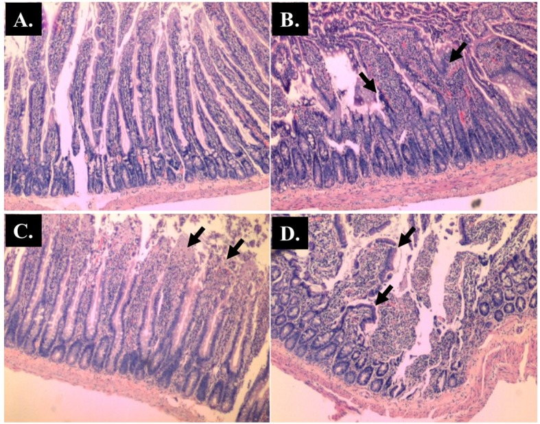 Fig 4