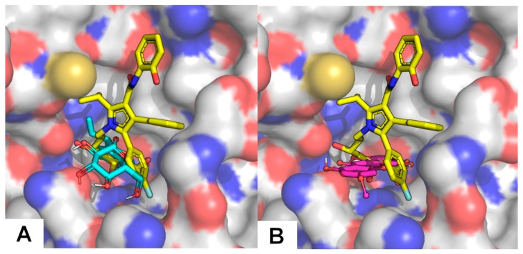 Figure 5