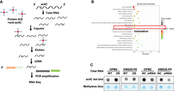 Figure 2