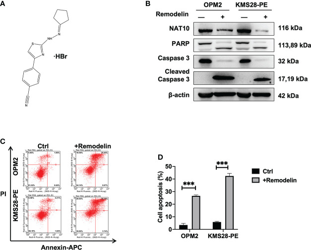 Figure 6