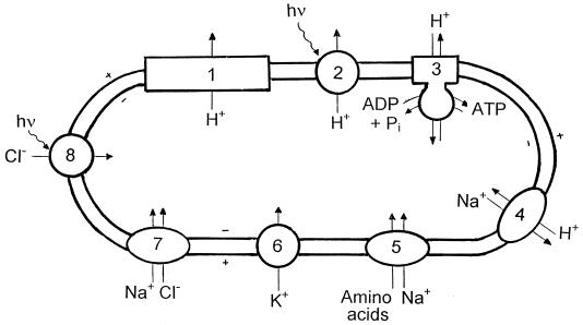 FIG. 3