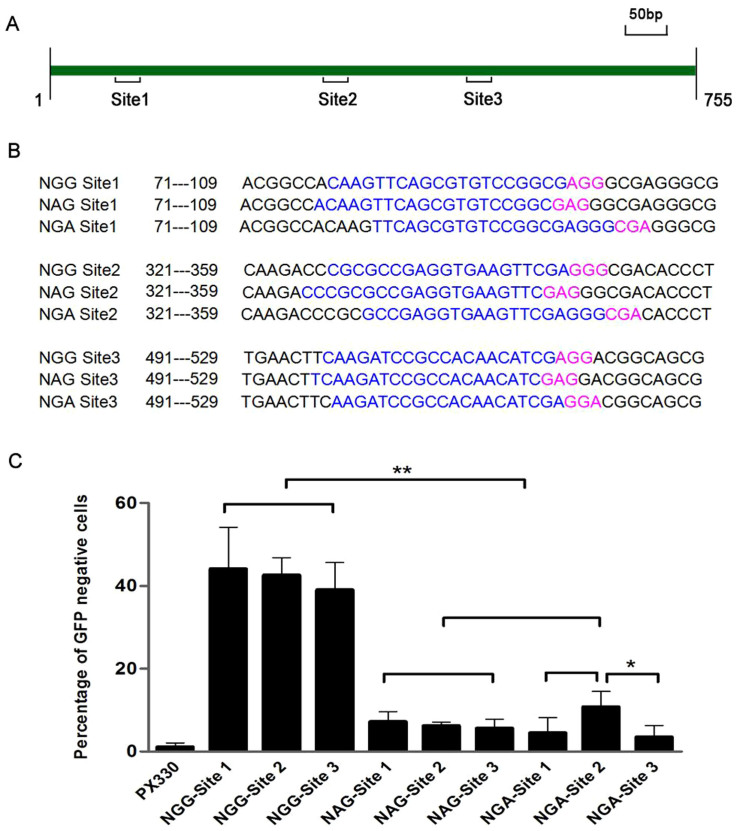 Figure 5