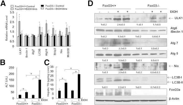 Figure 7