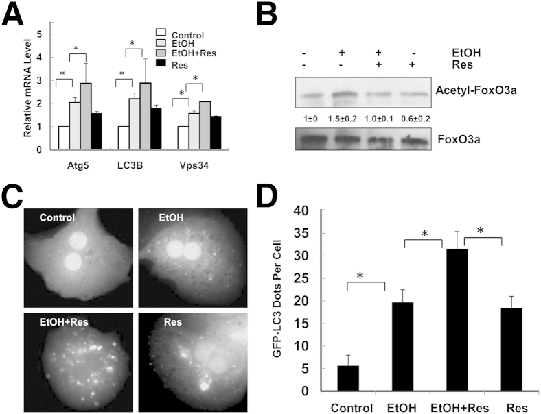 Figure 5