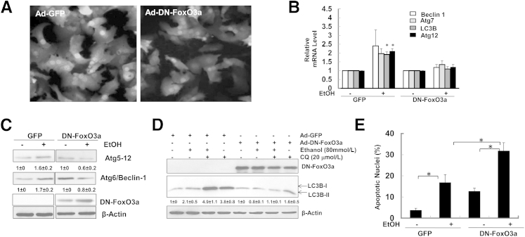 Figure 6