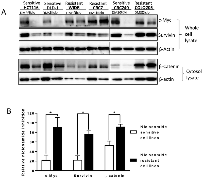 Fig. 9.