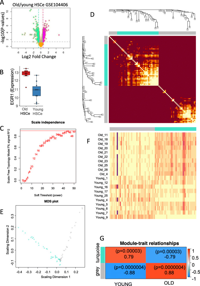 EGR1 dysregulation defines an inflammatory and leukemic program in cell ...