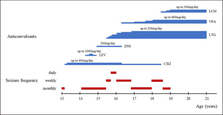 Fig. 2