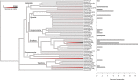 Figure 2: