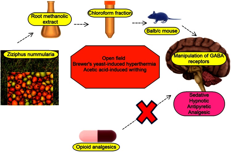 Fig. 1