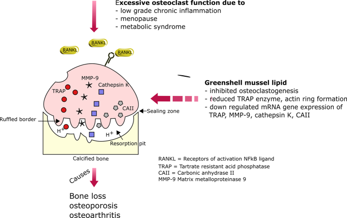 Unlabelled Image