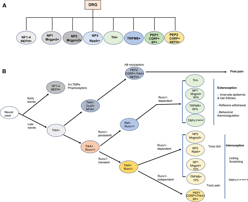 Figure 3: