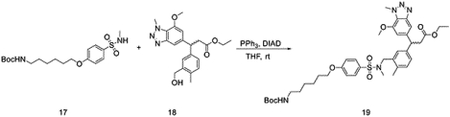 graphic file with name nihms-1831995-f0006.jpg