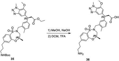 graphic file with name nihms-1831995-f0024.jpg