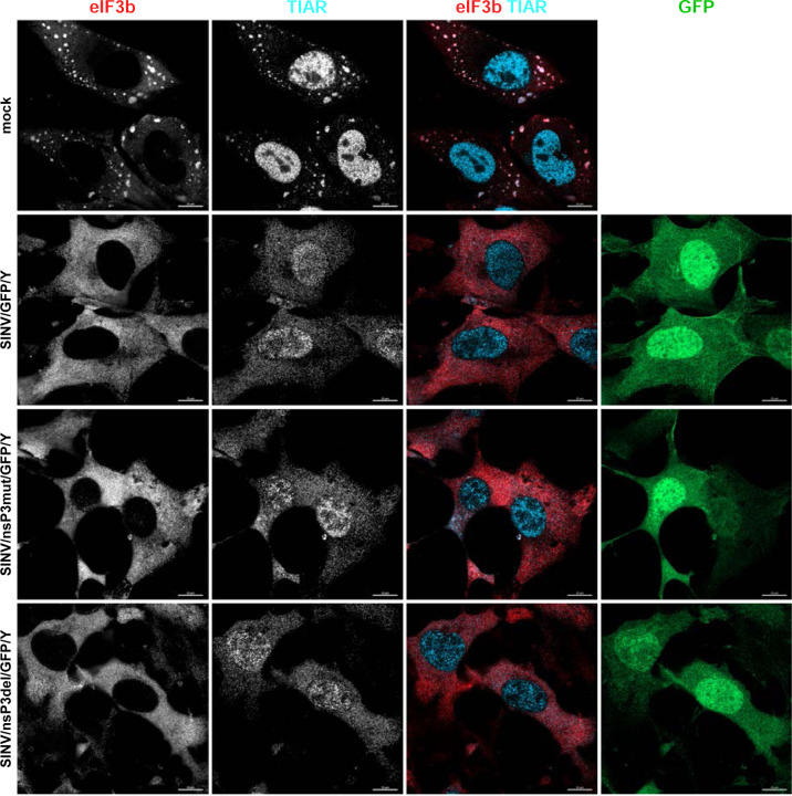 Fig. 9.